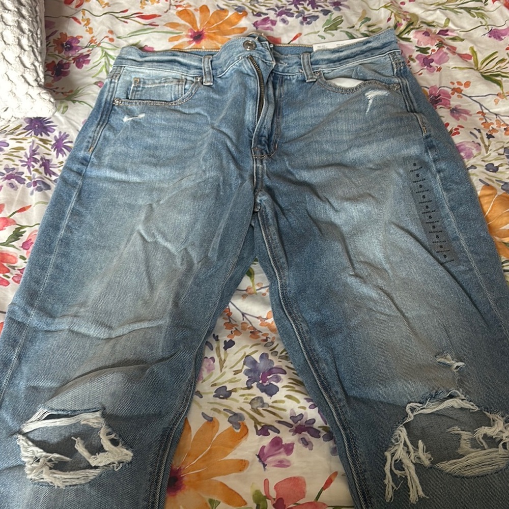 American Eagle Outfitters Relaxed Blue Denim Jeans with Vintage Appeal